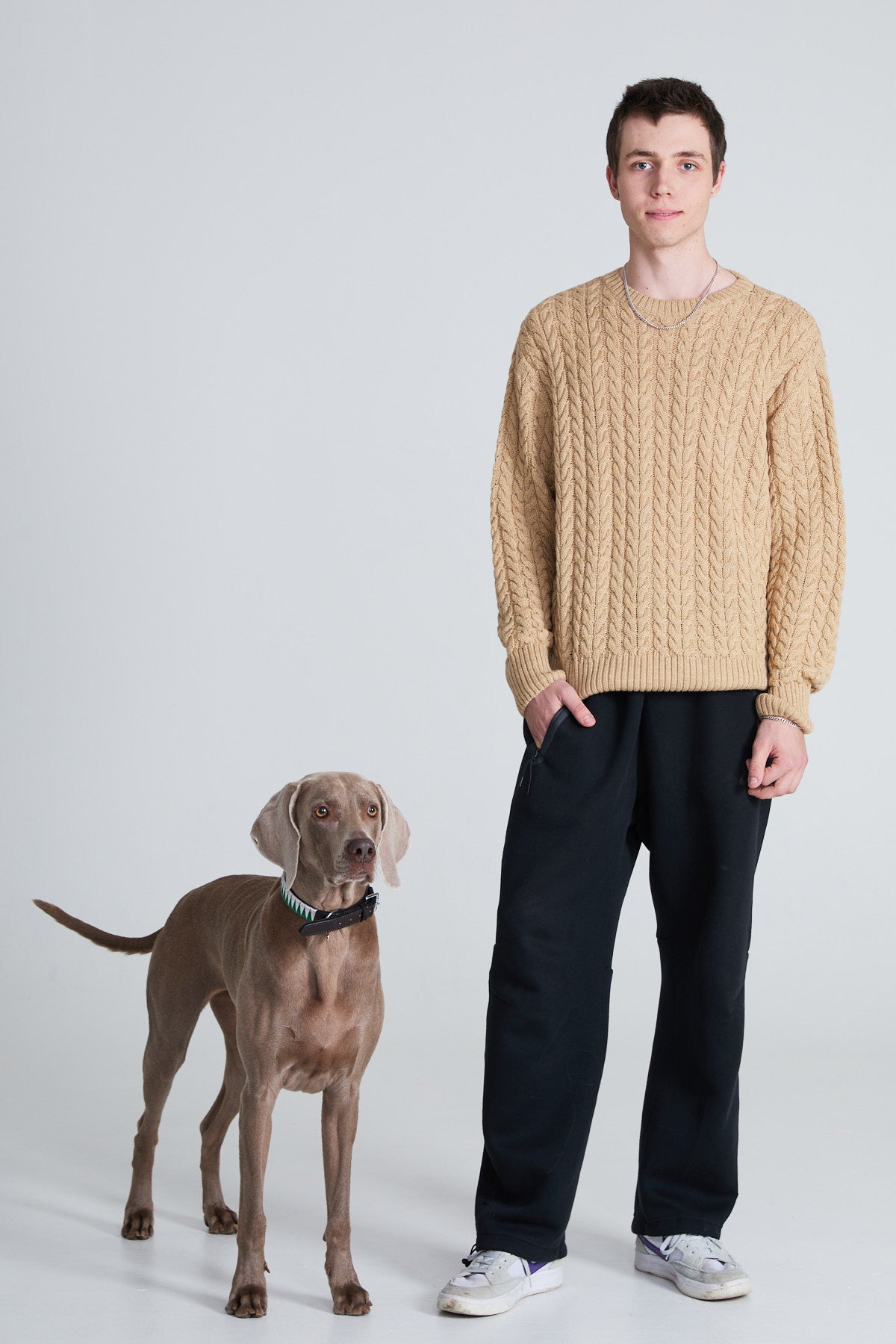 Cable-Knitted Sweater - Camel